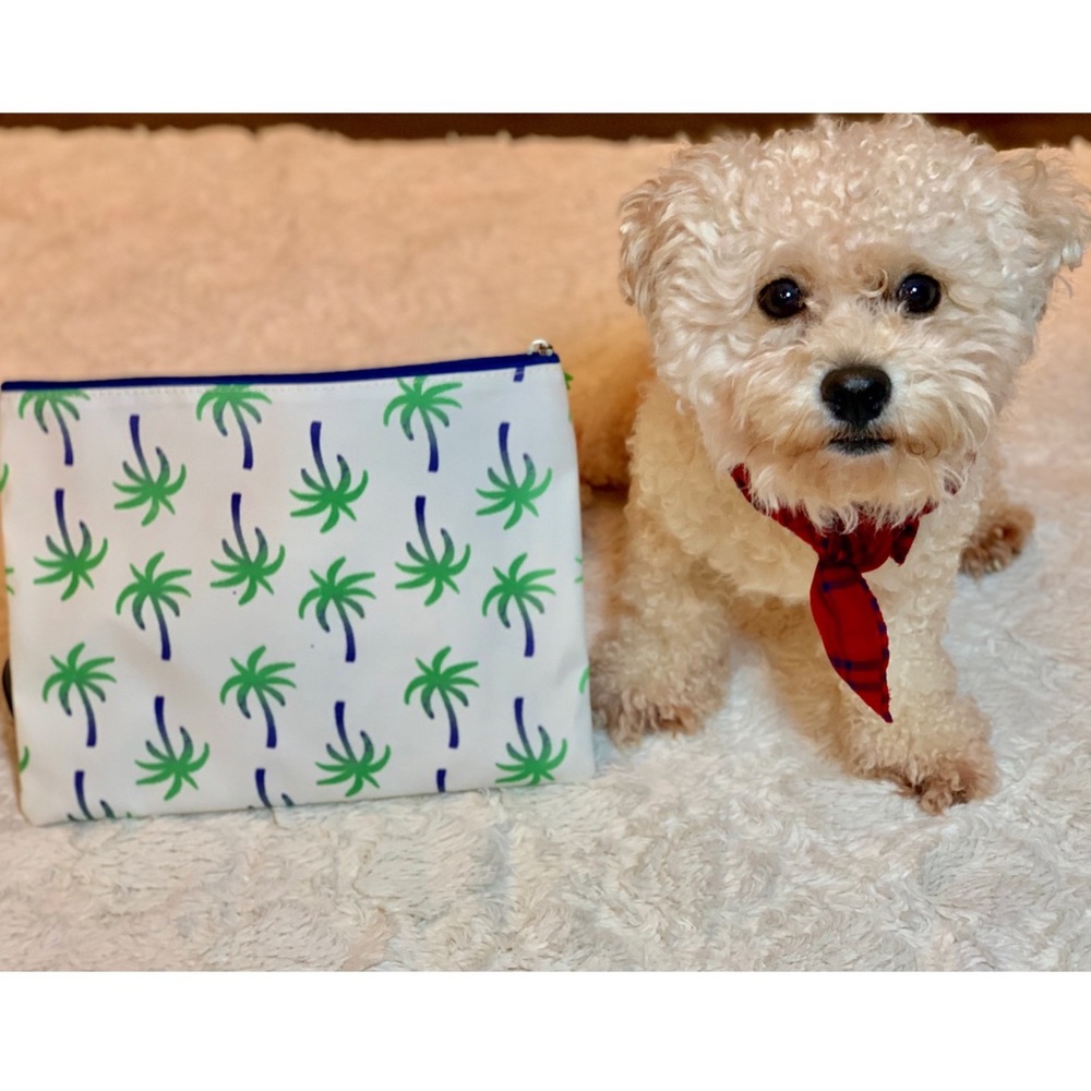 NEVER USED: 🏝 make up bag